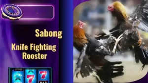 Epic Knife Fighting Rooster Sabong